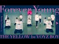 【Performance Video】Forever Young / THE YELLOW by VOYZ BOY / Weekly Practice #8