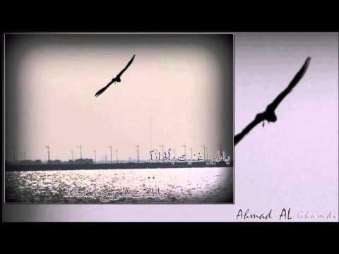 شيلة ياطير غنيت بألحانك