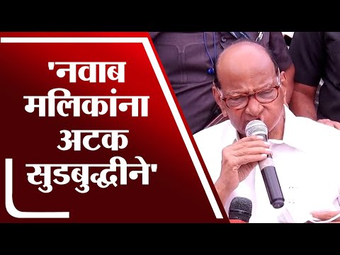 Nawab Malik यांची अटक सुडबुद्धीने केली आहे - Sharad Pawar