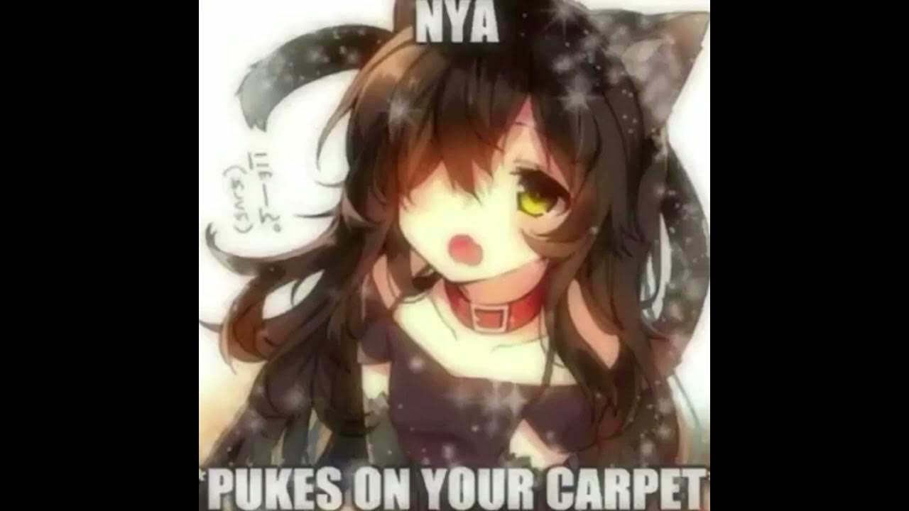 Nyaaa *Pukes on your carpet* YouTube