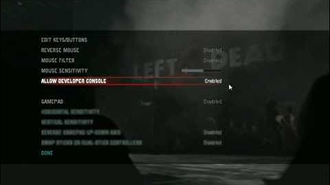 how to enter cheats on L4D