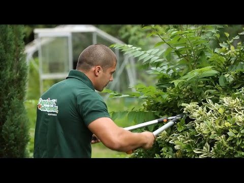 वीडियो: वर्ष के दौरान बगीचे के रखरखाव का काम करने की क्या आवश्यकता है