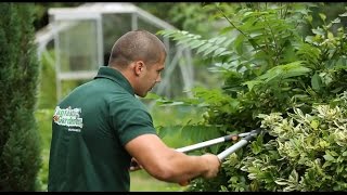 Professional Gardening Services in London | Fantastic Gardeners