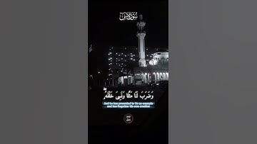 تلاوة الشيخ سيد سعيد 💔😔#الشيخ_سيد_سعيد #قرآن #قرءان #quran #السعودية #اكسبلور #قران_كريم #لايك