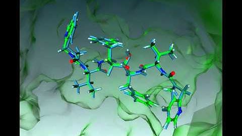 FADO - Binding mode refinment using a full-atom force field