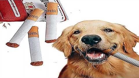 Din Rail Terminal Block UKK 80A/125A/160A/250A/400A Distribution Box One In Several Out Po