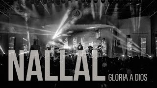 Video thumbnail of "LIVE - Nallal- Gloria a Dios (Despierta - la vigilia)"