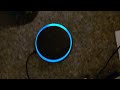 Cockatoo Attempts To Order Fart Off Of Alexa