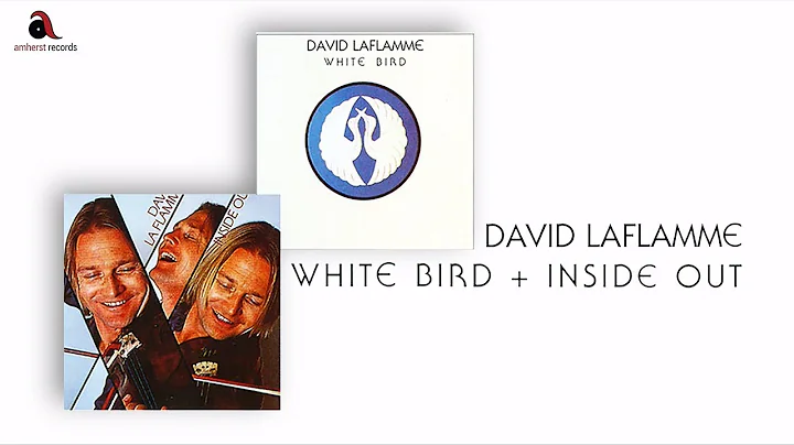 David LaFlamme - Where Flamingos Fly