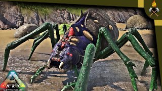 Ark How To Tame Araneo