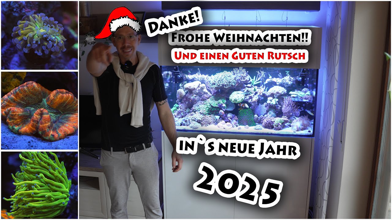 Frohe Weihnachten! Guten Rutsch in´s neue Jahr! - YouTube