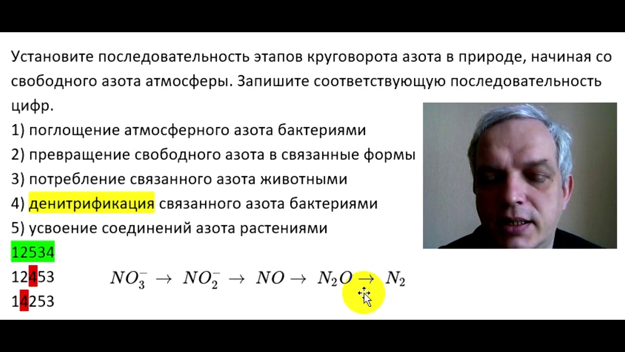 Практическое задание по теме Круговорот Азота (доклад)