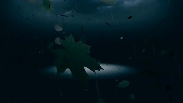 Ringging pada karakter animasi 3D  (Komputer Grafik dan Animasi)