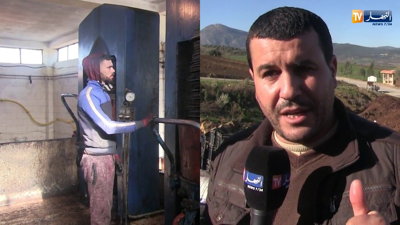 قالمة: المعصرة التقليدية على الحجر وجهة الفلاحين في ظل غياب الدعم ببلدية الركنية