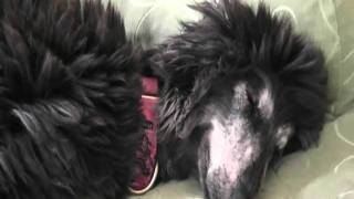 20110322_143007(2).mpg