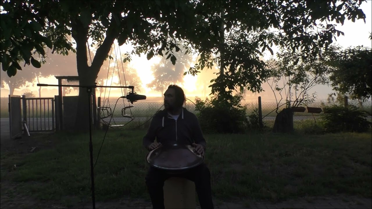 Handpan Baur&Brown Embersteel D Low Mystic 432Hz