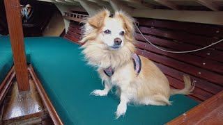 My “new” boat is leaking! Plus interview with John Getz. Kettenburg Adventures Chapter 02