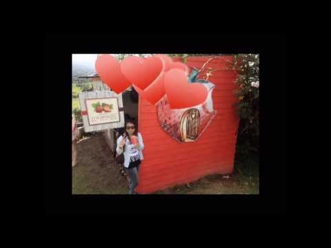 ไม่ใช่ไม่รัก (ost.วันนี้ที่รอคอย) - ฟิล์ม บงกช