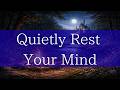 A Quiet Night to Rest Your Mind Campfire, Forest & River Ambience Healing BGM for Sleep & Relaxation