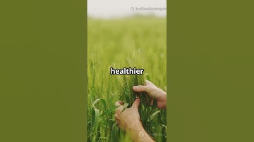 Smart Agriculture: Real-Time Plant Monitoring!#sciencefather #researchaward