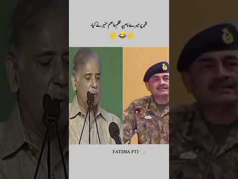 سنو اس شو باز