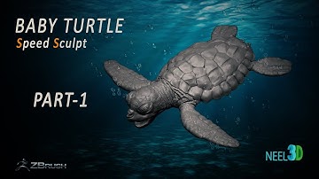ZBrush: Speed Sculpt | Baby Turtle | Part - 1.