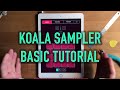 Koala Sampler Basic Tutorial