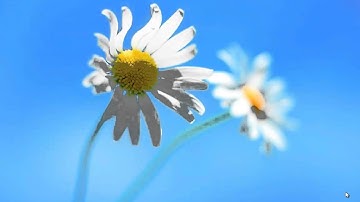 Windows 8: Boot directly into desktop (library)