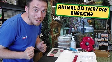 Animal Delivery Day Unboxing!!! Carpet Python Update (Snake Island Exotics)