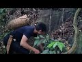 Dig wild tubers to eat, Survival Instinct, Wilderness Alone (ep103)