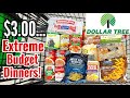 3 extreme grocery budget meals  7 dinners for 25  quick  easy cheap recipes  julia pacheco