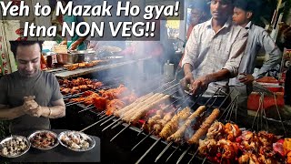 Delhi Ncr Ke Famous KEBAB aur TIKKEIN | Non Veg Street Food | Indian Street Food