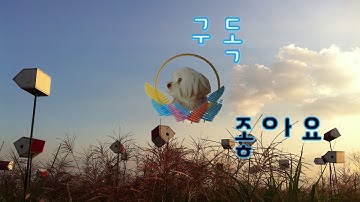 To practice a combination of consonants and vowels