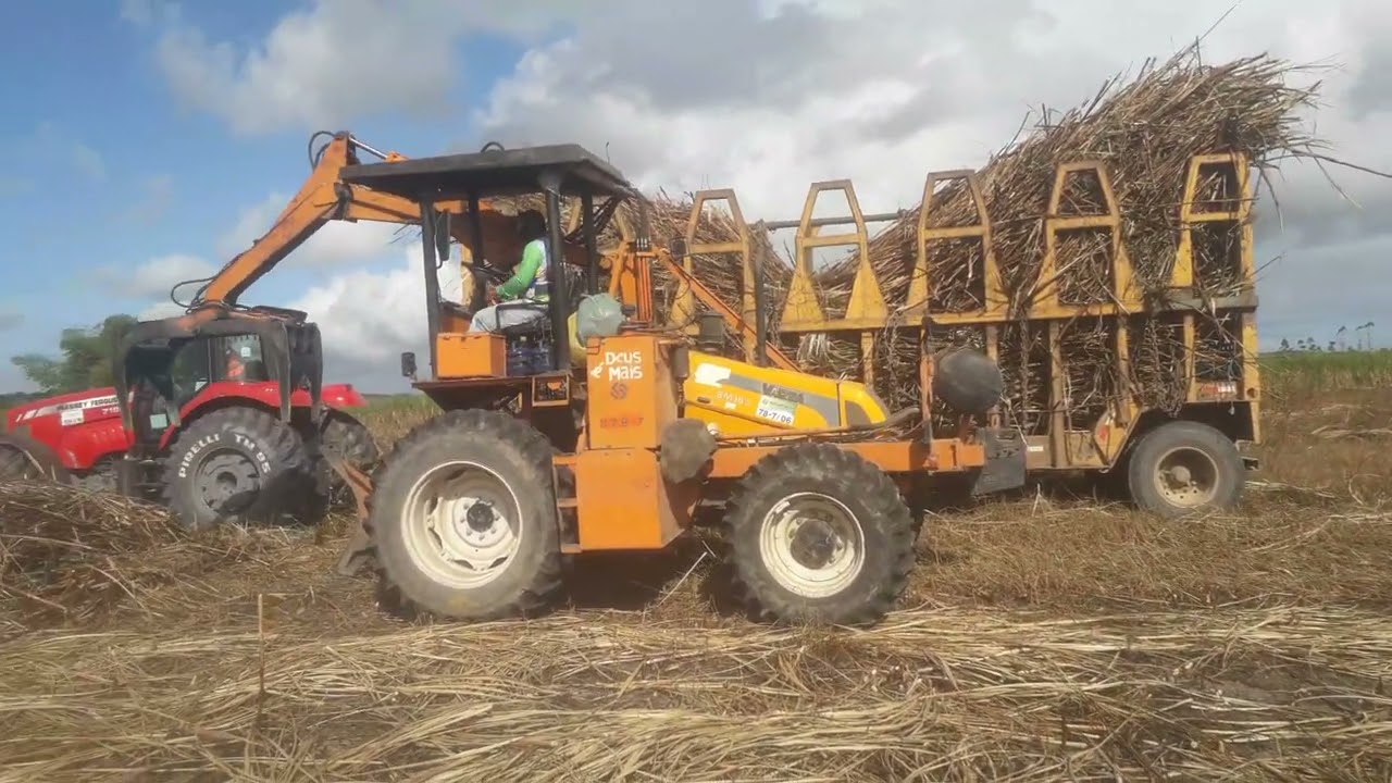 carregamento de cana usina santo Antonio Al fazenda passagem safra 2024 - 2025