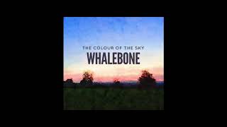 The Colour of the Sky - Whalebone