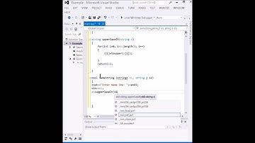 Functions and String Comparison Visual Studio C++