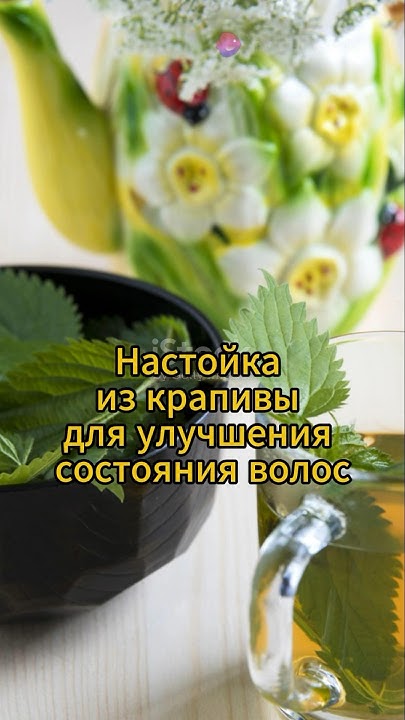 Настойка из крапивы для улучшения состояния волос #натуральное # ...