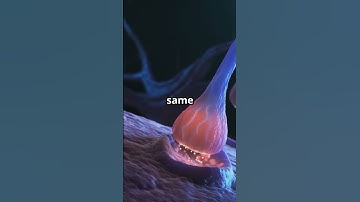 Epigenetics  Beyond DNA!