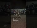 #danse #afrique #dance la danse de la panthère #boloy #cotedivoire