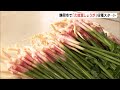 「みそや天ぷらでもおいしい」食卓に春を呼ぶ「久能葉しょうが」の収穫スタート=静岡・静岡市