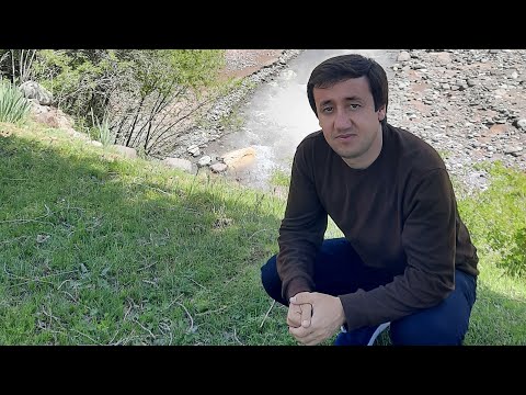 Некрузи ализод туй