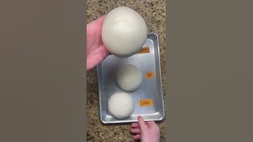 all purpose vs bread vs cake flour