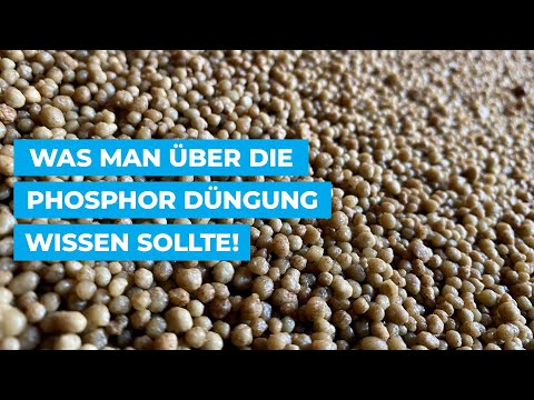 Video: Wo kommt organischer Phosphor vor?