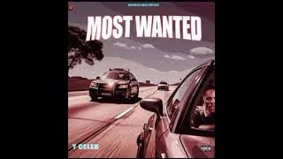 Y Celeb Most Wanted Freestyle ( Music Audio) Album