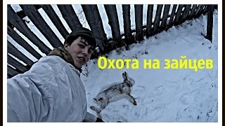 Охота на зайцев «Отец Перекрыл» Охота на зайцев «Отец Перекрыл»