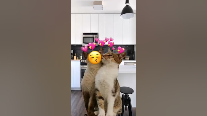 #tiktokmemes schaffen wir heute noch 200 Abos? Bitte