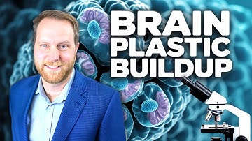 Microplastics in the Brain: New Alarming Discoveries