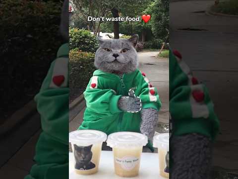 🥛Kind Oscar Gives Free Soy Milk To The Needy!😄🙌 | Don’t Waste Food #catvideos #catmemes #trending