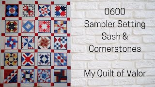 Sampler Quilt Setting Sashing and Cornerstone | Beginner Quilting | Quilt of Valor | Carol Thelen