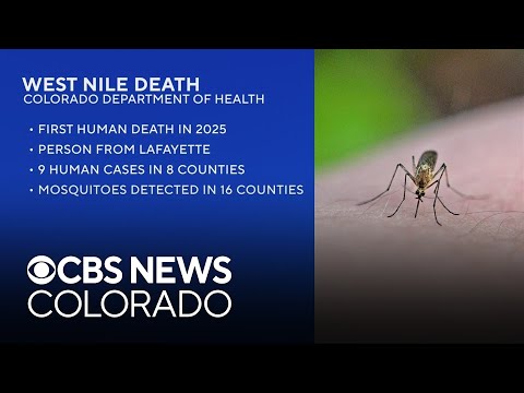 First Person In Colorado Dies Of West Nile Virus This Year